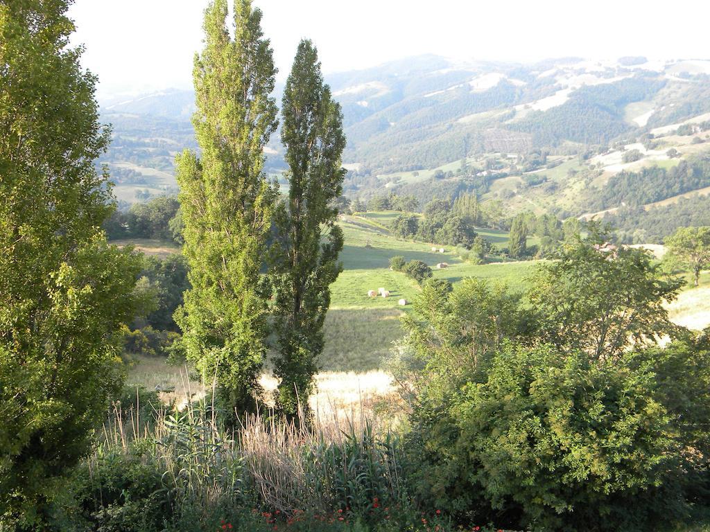 Agriturismo Borgo San Benedetto Villa Pietralunga  Eksteriør bilde
