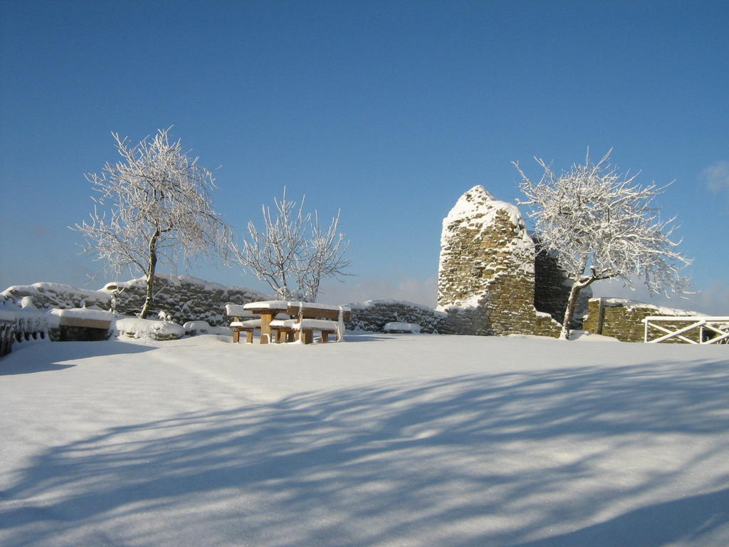 Agriturismo Borgo San Benedetto Villa Pietralunga  Eksteriør bilde