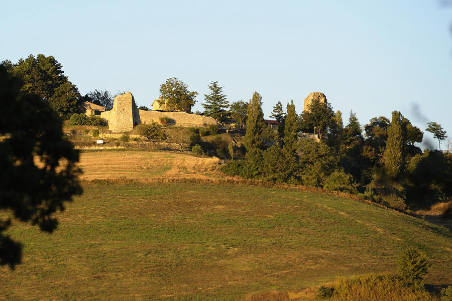 Agriturismo Borgo San Benedetto Villa Pietralunga  Eksteriør bilde